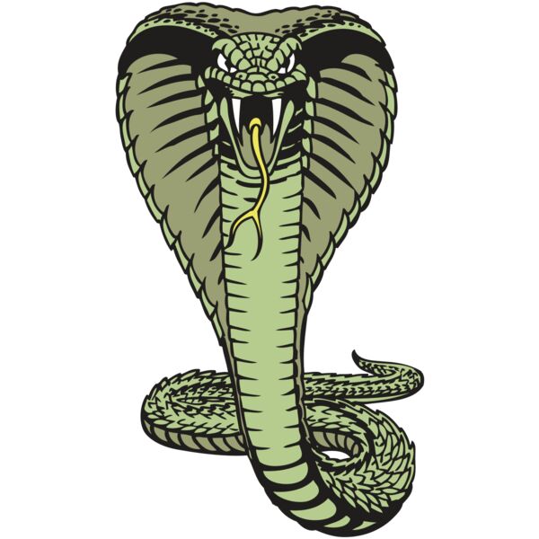 BAW SNAKE 15 RC Thumbnail