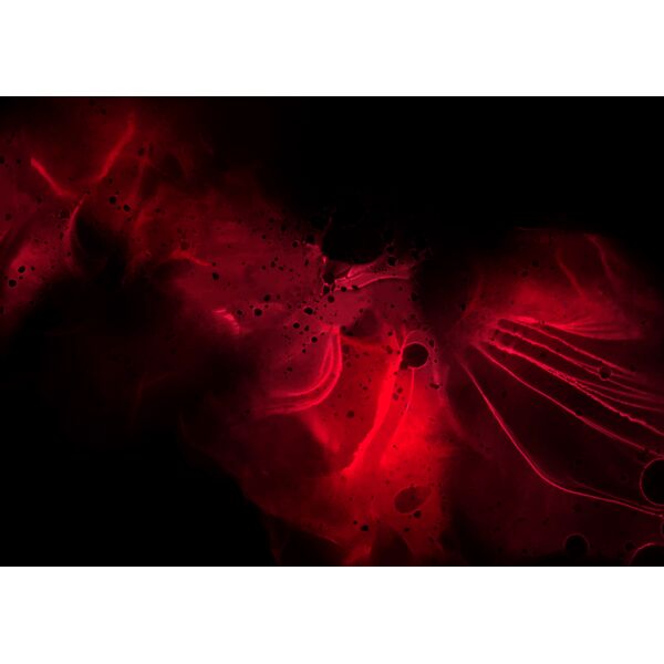 dark red hand painted alcohol ink background 1901 Thumbnail