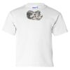 Ultra Cotton Youth T-Shirt Thumbnail