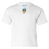 Ultra Cotton Youth T-Shirt Thumbnail