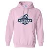 Heavy Blend Hooded Sweatshirt Thumbnail