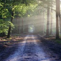 Renegade1111 Thumbnail